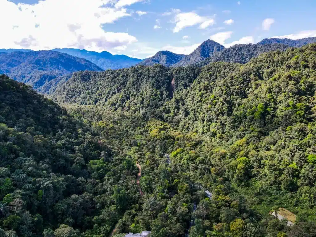 Mejor Época para Viajar a Mindo