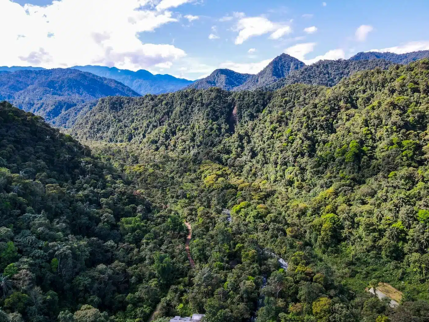 Valle de Mindo con cielos azules y paisaje verde del bosque nublado de Ecuador