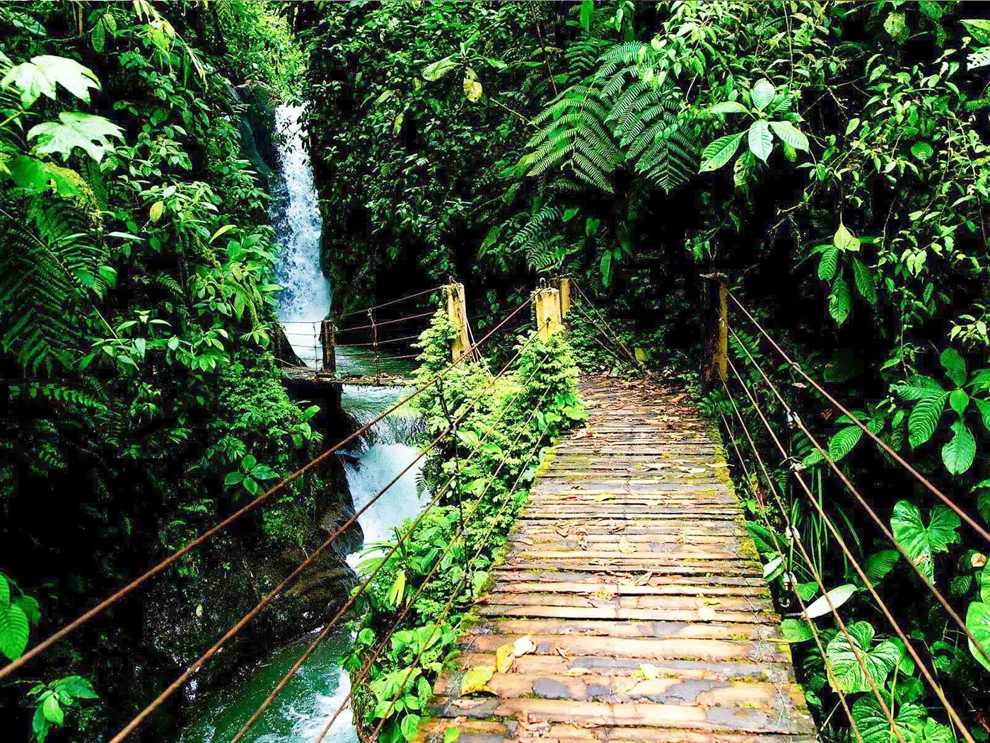 Puente y cascada rodeados de verdor en Mindo