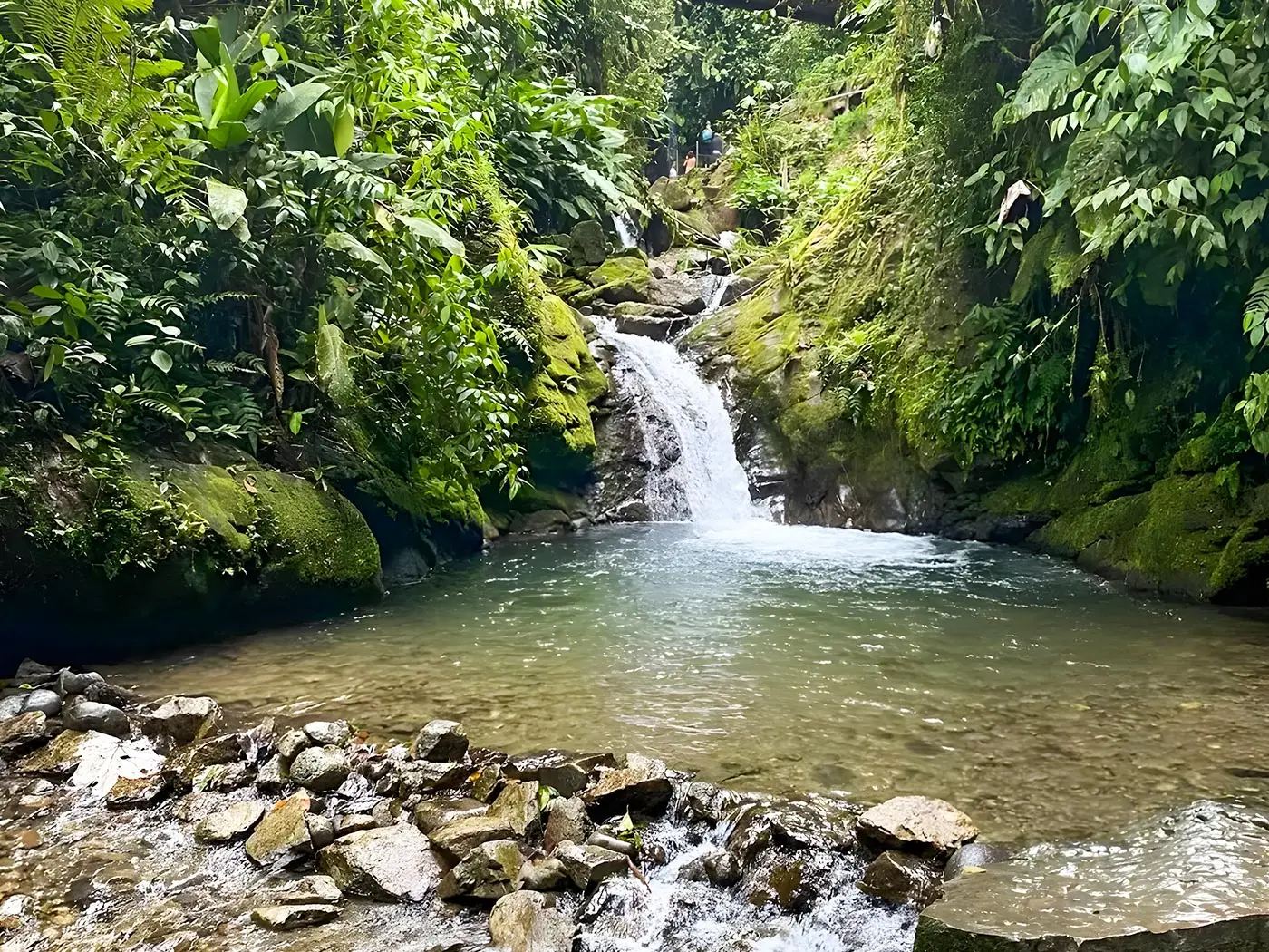 Cascadas de Mindo con alto caudal en temporada lluviosa dentro del bosque nublado